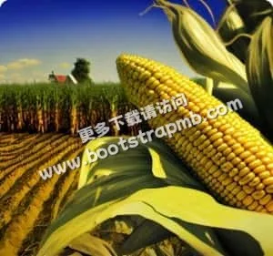 Taking care of the Earth one field at a time - 世界杯竞猜