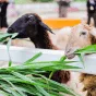 搜索赛事 - 世界杯竞猜