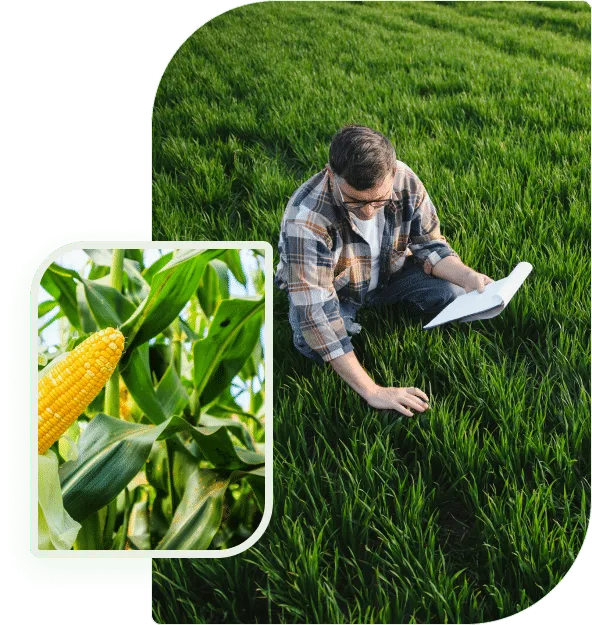Growing strong feeding farming futures - 世界杯竞猜